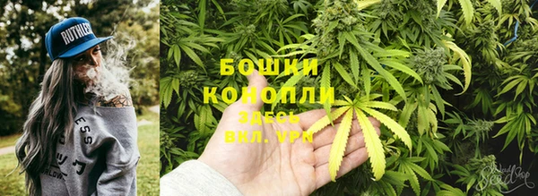 СК Арсеньев