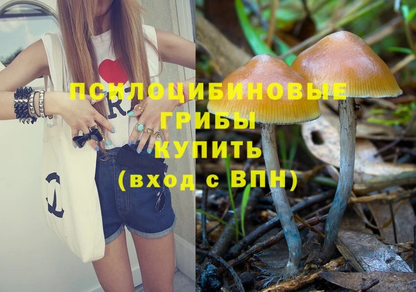 СК Арсеньев