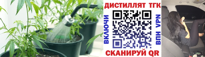 Купить где Апрелевка ТГК гашишное масло